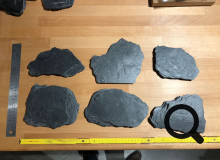 Laser Gravur Böhm in Bonn - Geschenkideen mit Gravuren auf Holz, Glas, Leder, Metall, Acryl Plexiglas , Armbänder, Papier, Anhänger, Schilder ... für Privat und Geschäftskunden und  Firmen. Kunden kommen aus Bonn, Köln, Siebengebirge, Frechen, und ganz NRW, Deutschland, Schweiz und der Welt